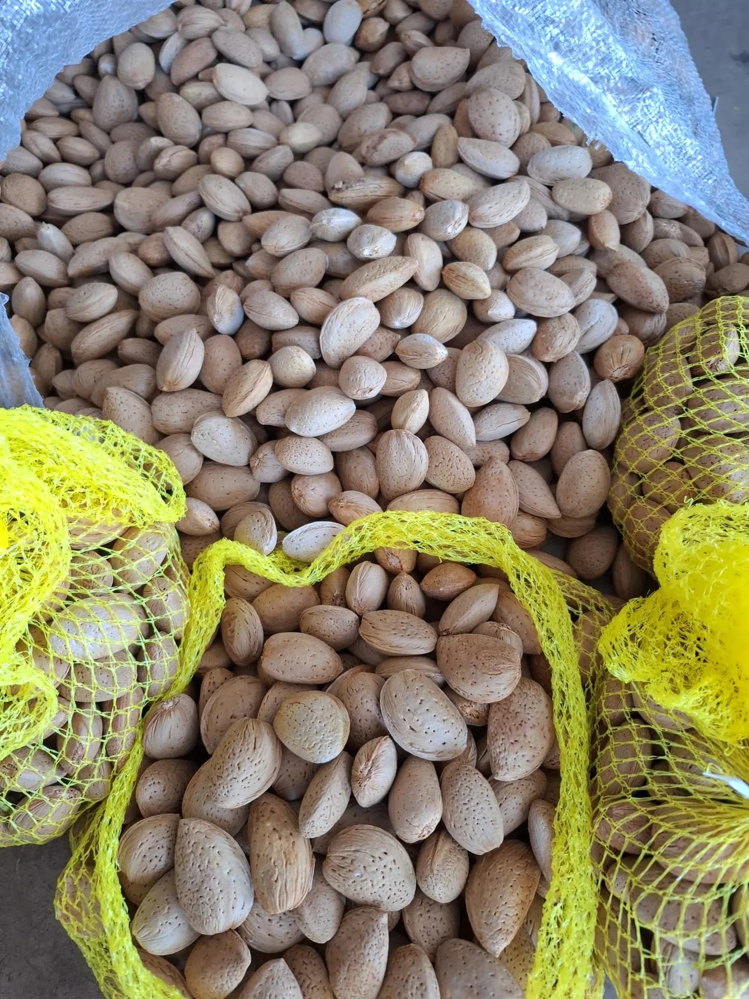 Kabuklu Badem Yeni Hasat 1kg