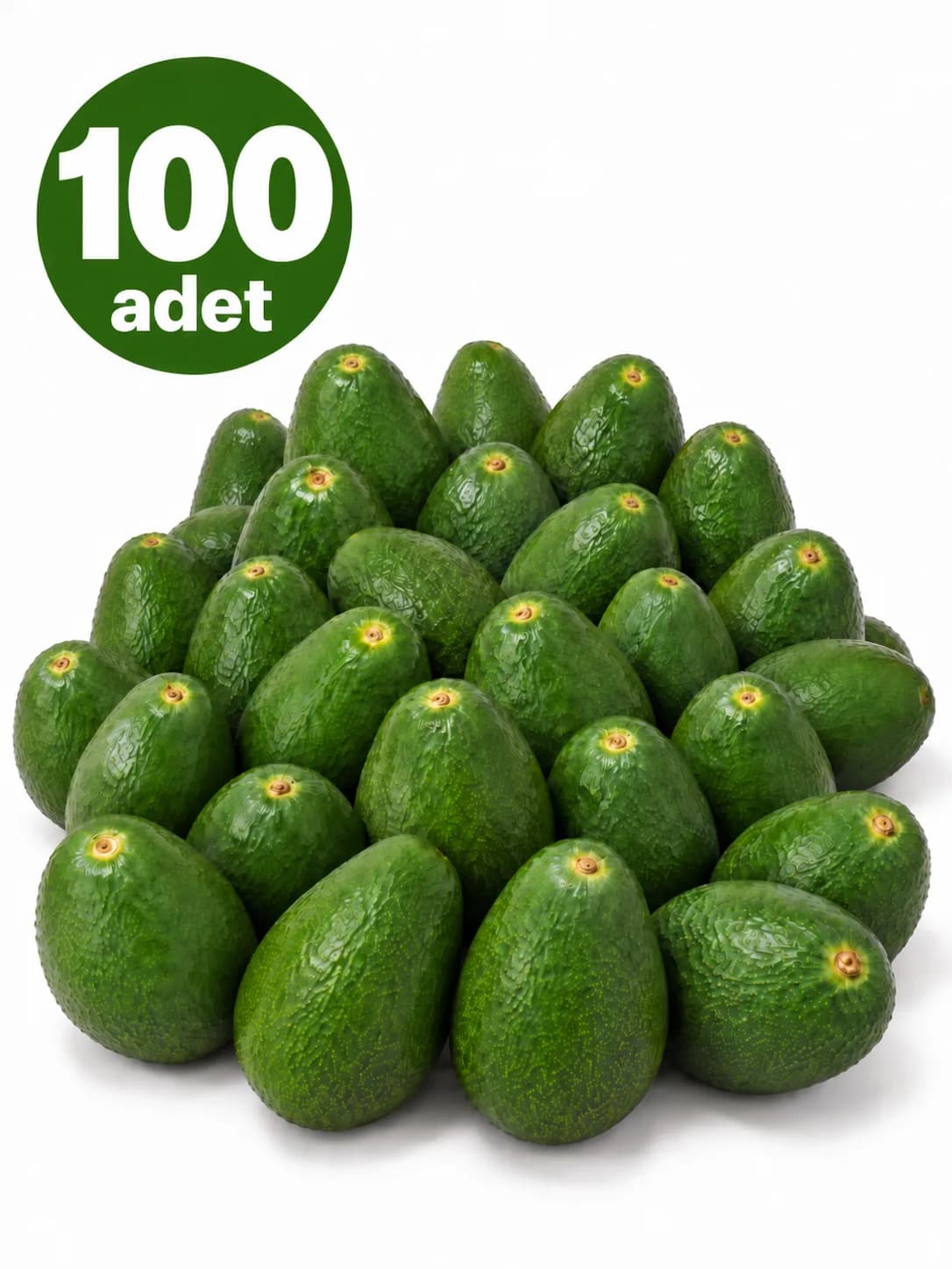 100 Adet Toptan Market-Orta Boy Avokado 160 gr üzeri