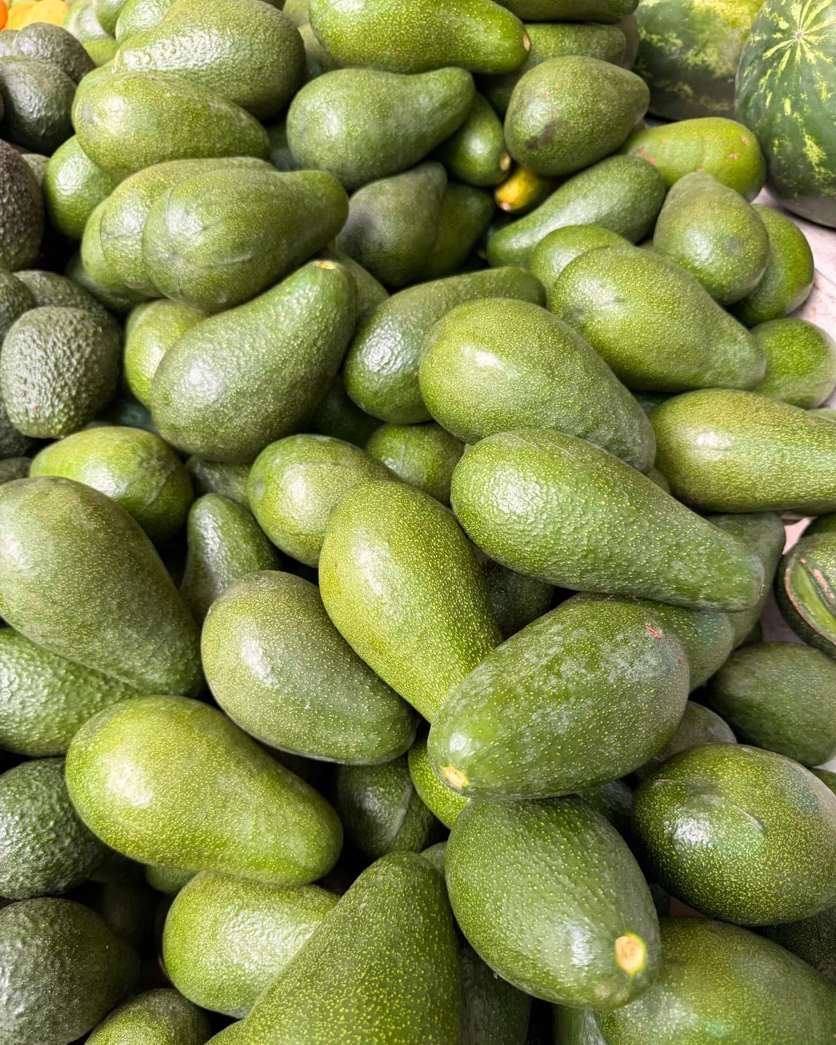 Kasalarda toptan avokado